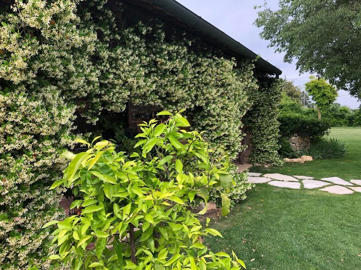 B&B Bagolari Villaganzerla Italien