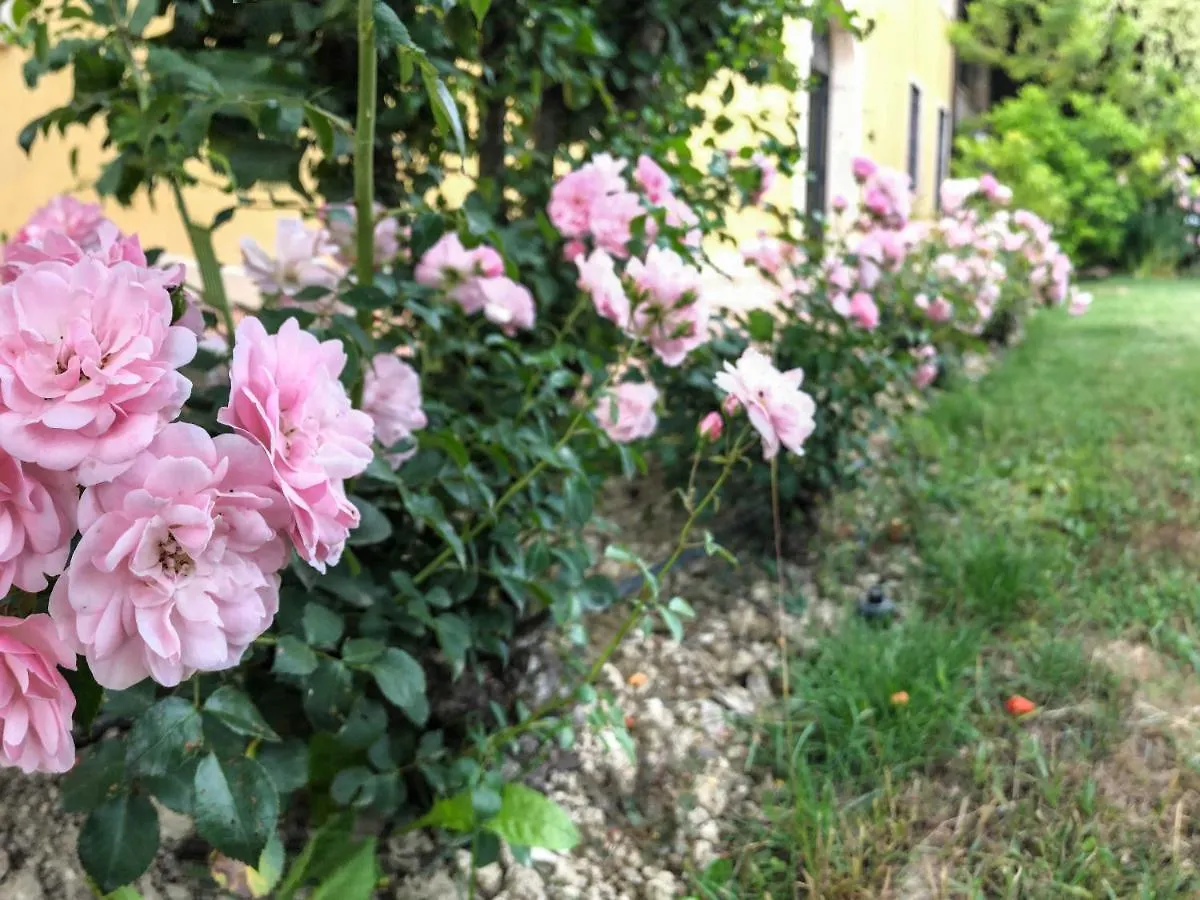 B&B Bagolari Villaganzerla Frühstückspension